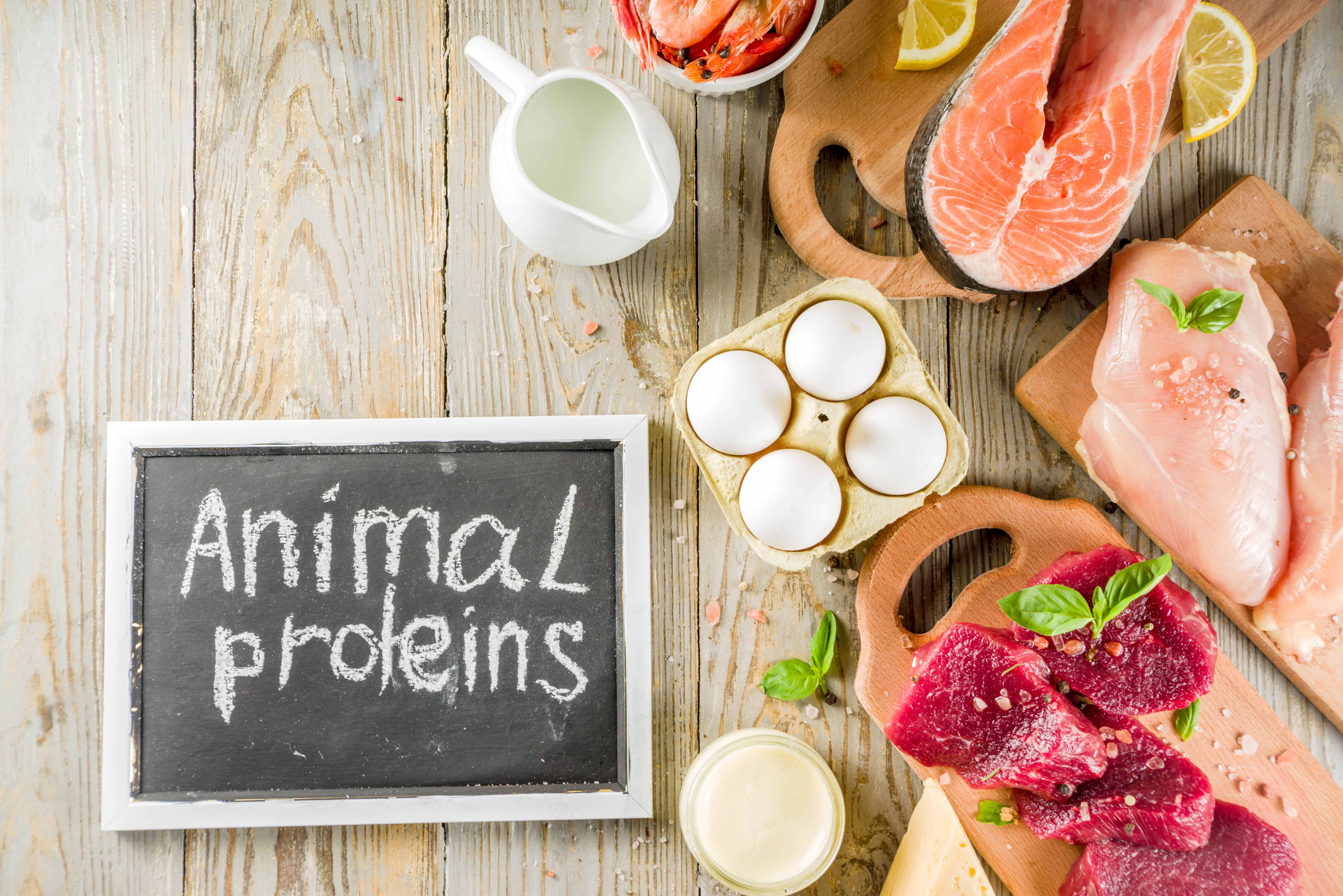 Кому и почему нужно больше белка